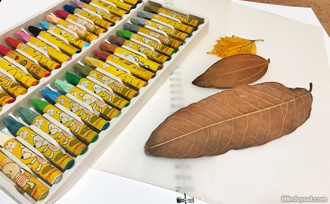 Materials Needed for Leaf Rubbing Art