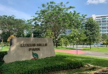 Luxus Hills Park & Ang Mo Kio Linear Park: Undulating Knolls At A Former Rubber Estate Luxus Hills Park & Ang Mo Kio Linear Park: Undulating Knolls At A Former Rubber Estate