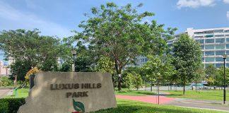 Luxus Hills Park & Ang Mo Kio Linear Park: Undulating Knolls At A Former Rubber Estate