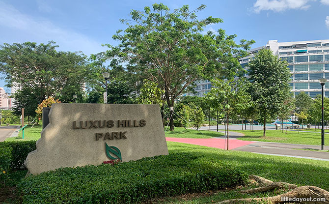 Luxus Hills Park & Ang Mo Kio Linear Park: Undulating Knolls At A Former Rubber Estate