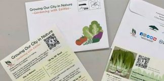NParks Is Distributing 400,000 Seed Packets Under Their Gardening With Edibles Programme