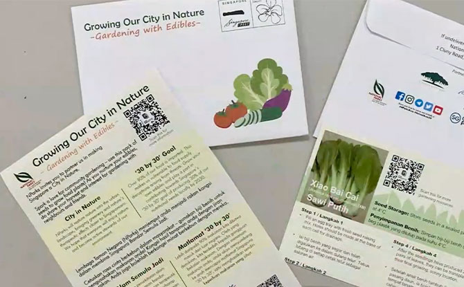 NParks Is Distributing 400,000 Seed Packets Under Their Gardening With Edibles Programme