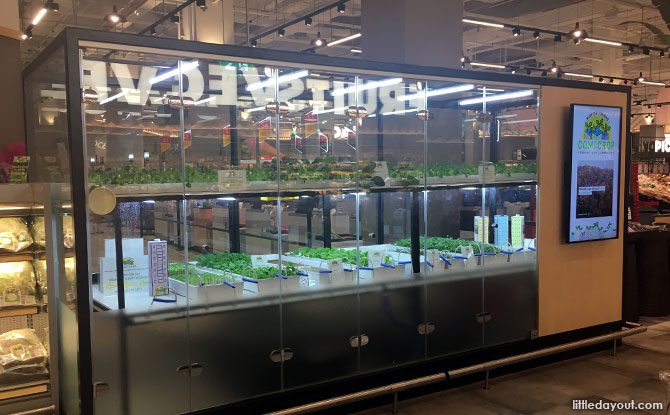 Indoor Vegetable Farm at FairPrice Xtra