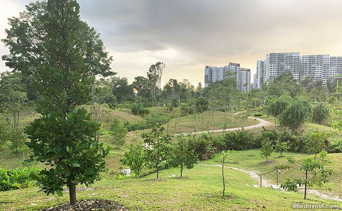 Jurong Lake Gardens