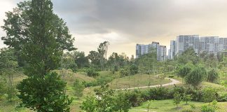 Parks In Singapore Are Reopening Facilities From 19 June. Here Are Some Useful Things To Know