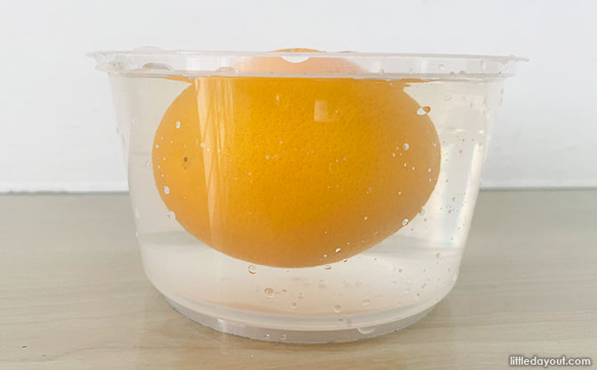 Orange Floats - Science Experiment