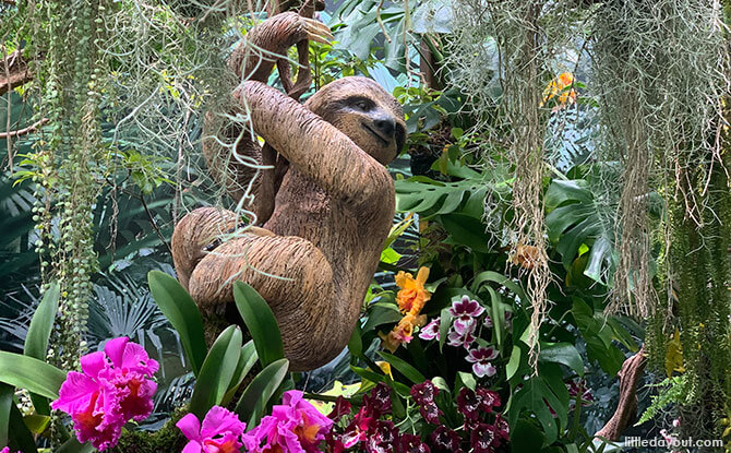 Cloud Forest Cloud Forest
