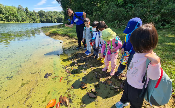 Water Trekkers (3-day camp)