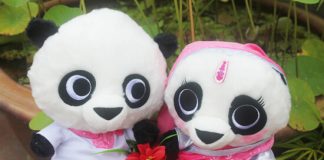02-pandaplushtoys