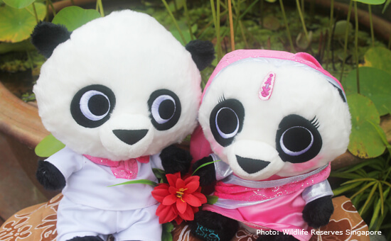 Panda Plush Toys