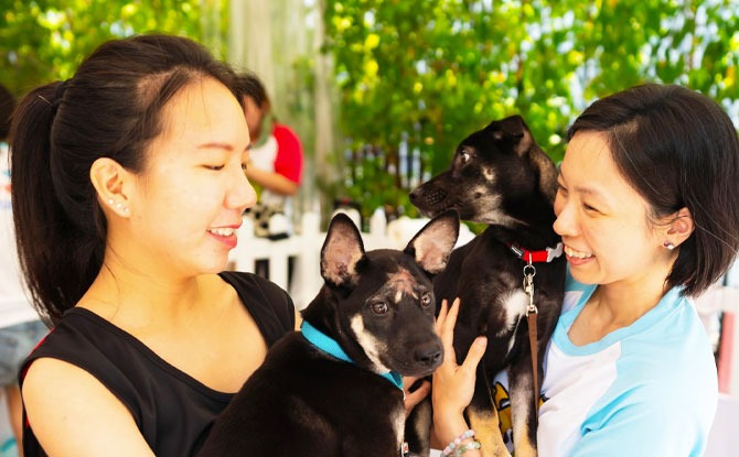 Free Pet Health Checkups at Pets’ Day Out 2021