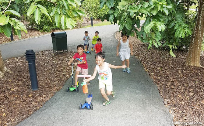 Singapore Botanic Gardens - Playdate Ideas in Singapore