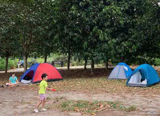 Pulau Ubin Camping With Kids: A Taste Of Rustic