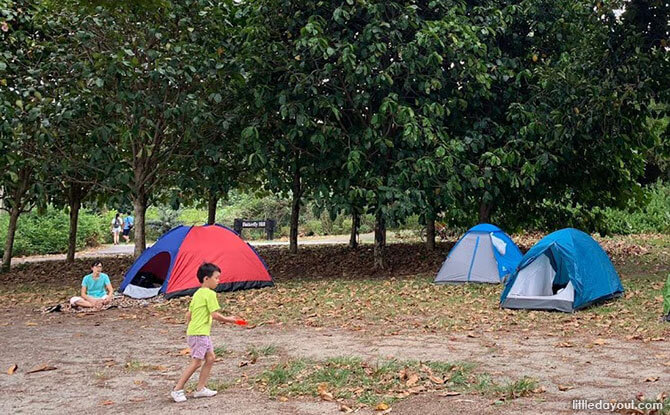 Pulau Ubin Camping With Kids: A Taste Of Rustic