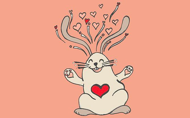 65+ Rabbit Jokes Every Bunny Will Love