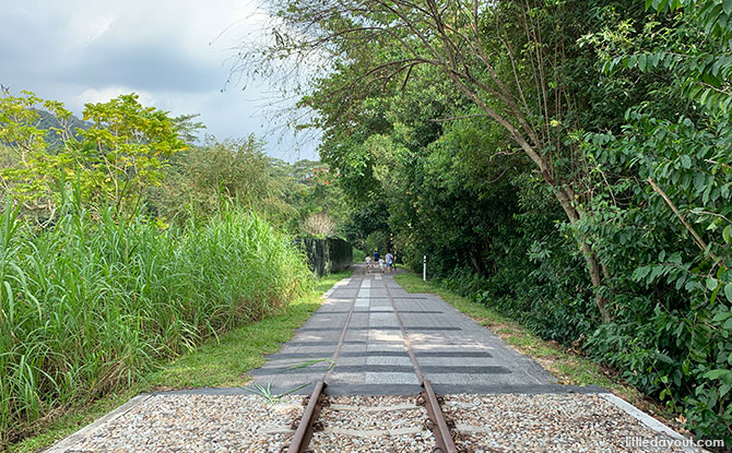 Walking along the Rail Corridor Central