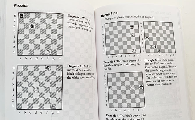 How To Beat Your Kids At Chess – An Adult’s Beginner’s Guide to Chess by David MacEnulty Review