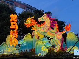 What to Do During this Weekend in Singapore, 21 & 22 February 2026