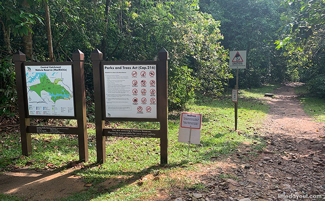 Stairs to Rifle Range Road