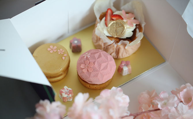 Spring Sakura Pastry Box