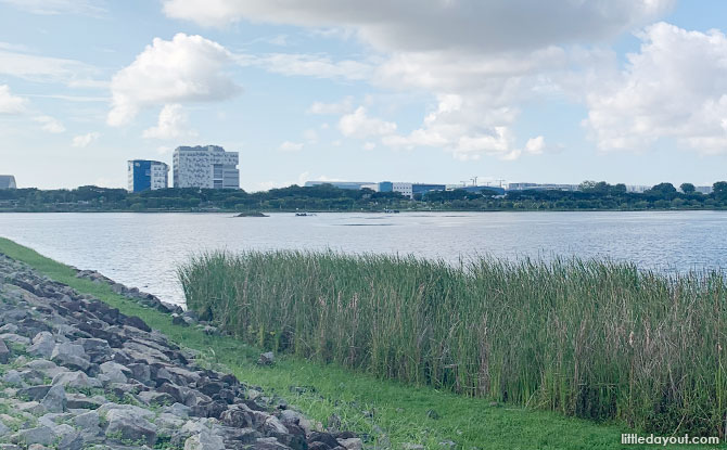 Rowers' Bay & Yishun Dam