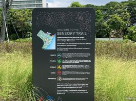 Gardens by the Bay’s Sensory Trail: Activating The Senses With Plants