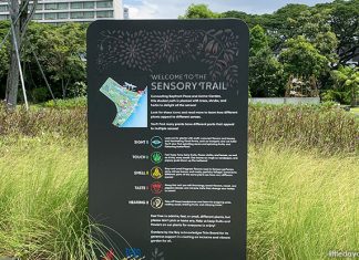 Gardens by the Bay’s Sensory Trail: Activating The Senses With Plants Gardens by the Bay’s Sensory Trail: Activating The Senses With Plants