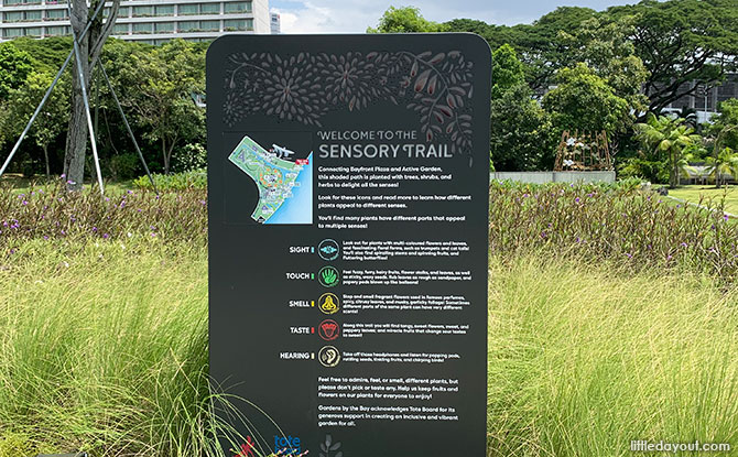 Gardens by the Bay’s Sensory Trail