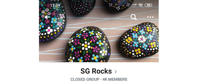 How does a family participate in SG Rocks?