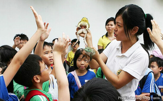 Have a "Froggy Time" at the Jurong Frog Farm in December 02-showandtell