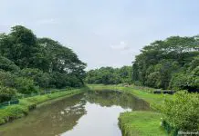 Springleaf Nature Park: 5 Things You May Not Know About This Sungei Seletar Park Springleaf Nature Park: 5 Things You May Not Know About This Sungei Seletar Park