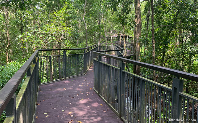 Along the Sungei Buloh Mangrove Boardwalk