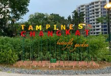 Tampines Changkat Butterfly Garden: Neighbourhood Green Spot & Swings Tampines Changkat Butterfly Garden