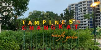 Tampines Changkat Butterfly Garden