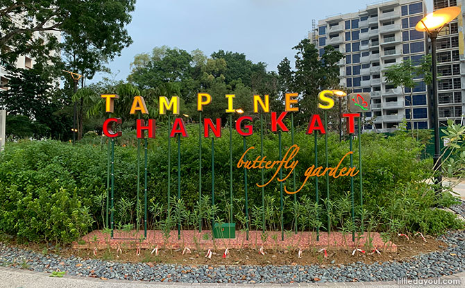 Tampines Changkat Butterfly Garden Tampines Changkat Butterfly Garden