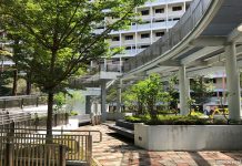 Garden Community Park: Playgrounds and SuperTree Look-Alikes
