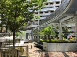 Garden Community Park: Playgrounds and SuperTree Look-Alikes