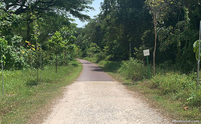 Tanglin Halt Rail Corridor: Former Malayan Railways