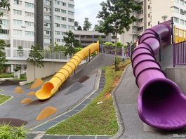 Toa Payoh Crest Playground: Fun On The Slopes
