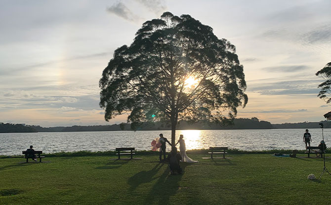 Upper Seletar Reservoir Park Tree