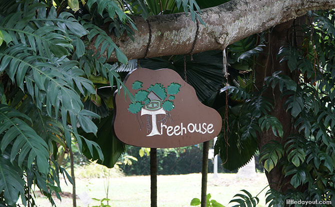 Treehouse at Science Centre Singapore's Ecogarden