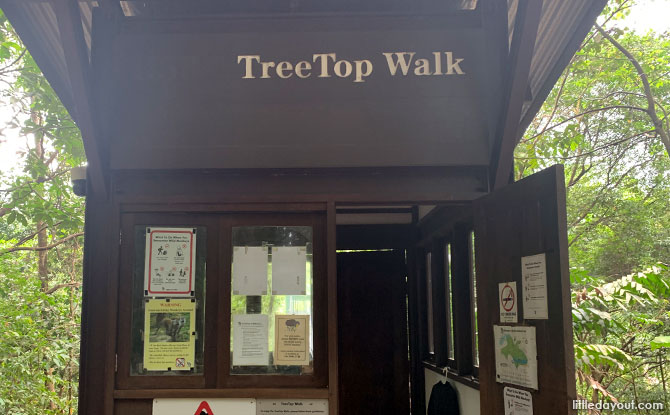 Overview of the TreeTop Walk