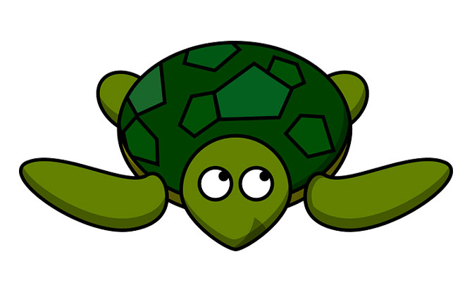 green sea turtle shell drawing