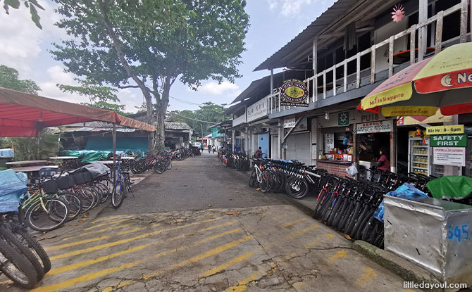 Tips on Bicycle Rental Shops