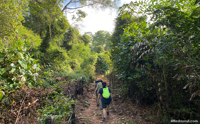 Puaka Hill Trek Up