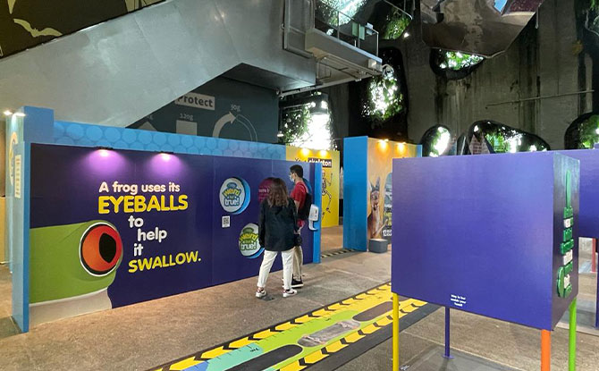 'Some Weird but True!' At Gardens By The Bay
