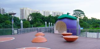 Sengkang Floating Wetland: Super-Sized Fruit & Wildlife