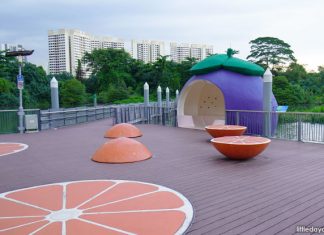 Sengkang Floating Wetland: Super-Sized Fruit & Wildlife Sengkang Floating Wetland: Super-Sized Fruit & Wildlife