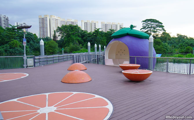 Sengkang Floating Wetland: Super-Sized Fruit & Wildlife