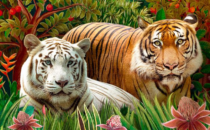Visit Tigers and Animals at the Singapore Zoo
